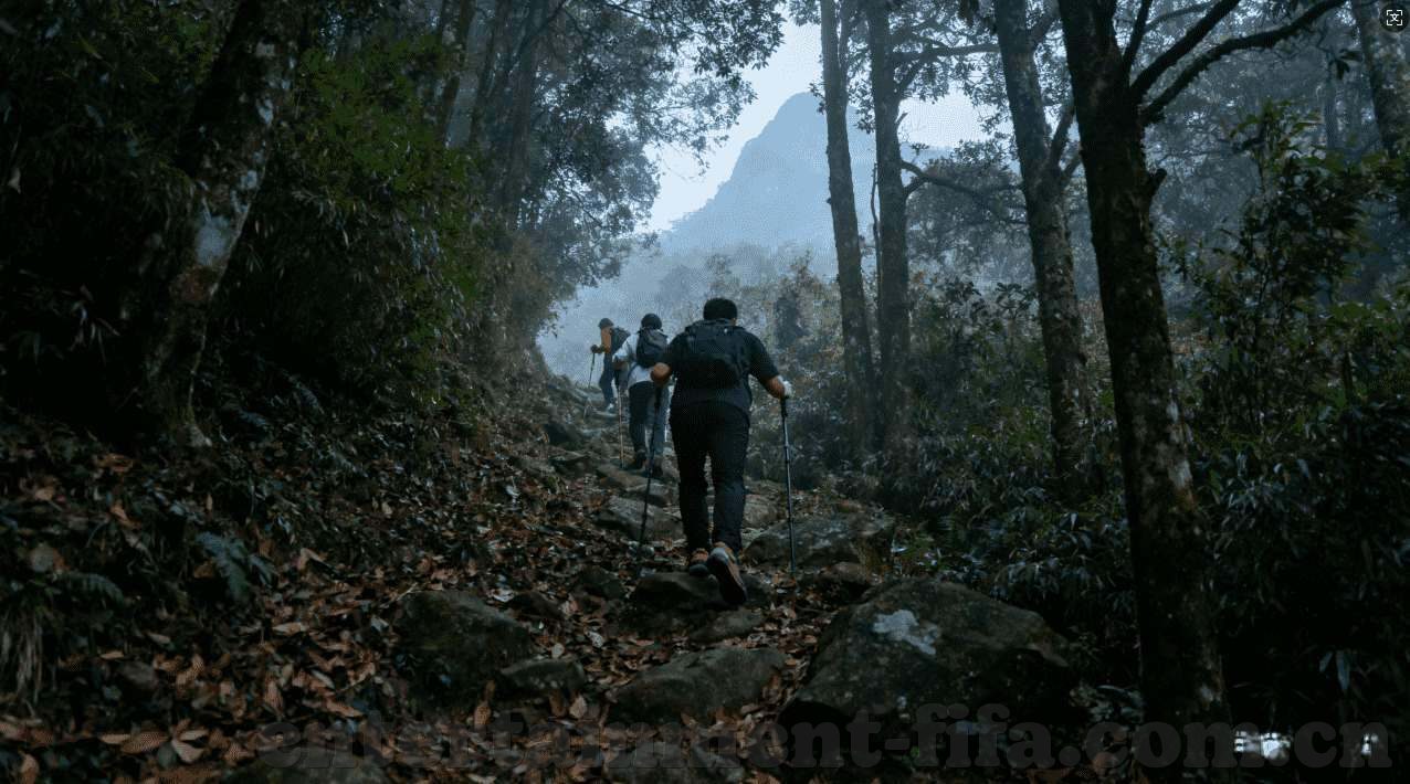 俄罗斯世界杯的世界-俄罗斯世界杯的世界，足球盛宴与全球共鸣